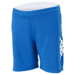 Logoshorts Blue/White
