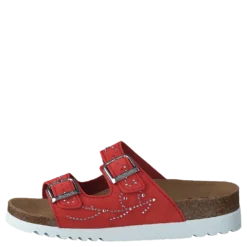 Malaren Coral