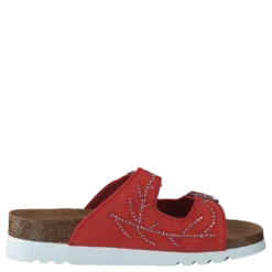 Malaren Coral