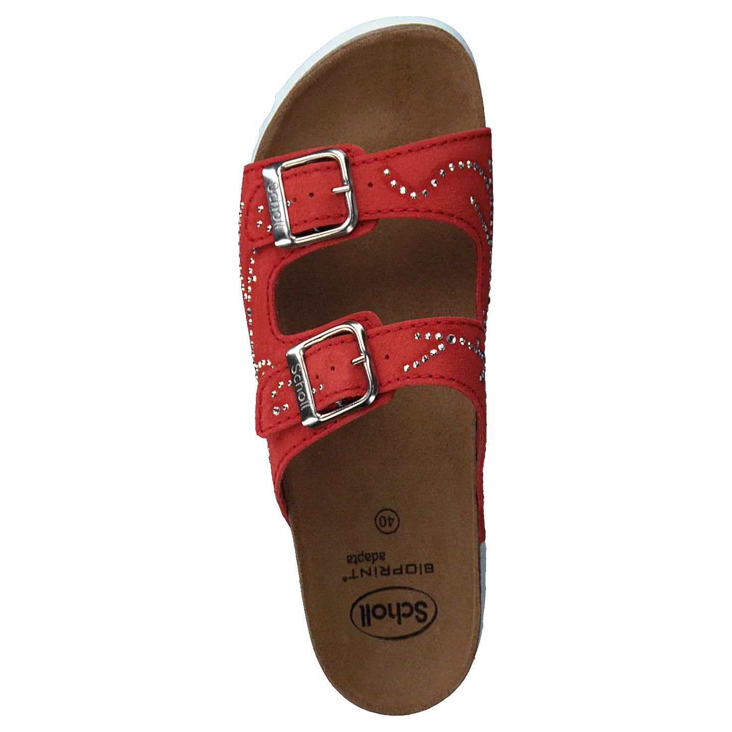 Malaren Coral