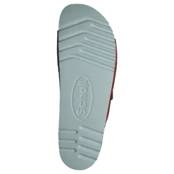 Malaren Coral