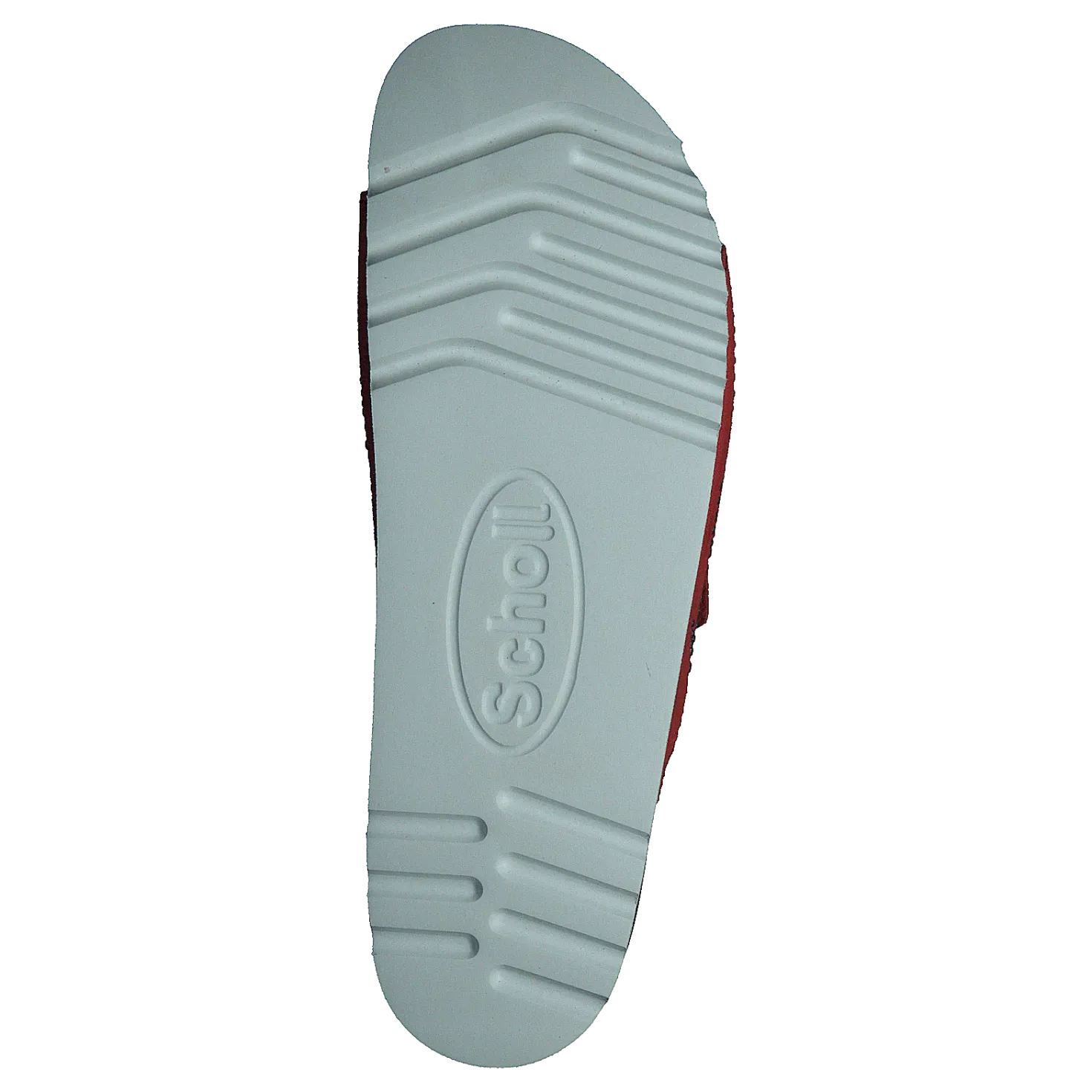 Malaren Coral