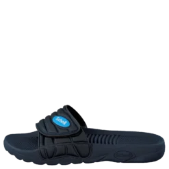 Nautilus