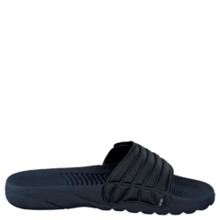 Nautilus