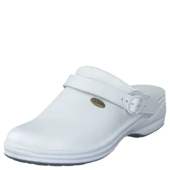 New Bonus White
