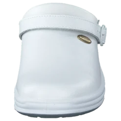 New Bonus White
