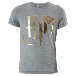 Nkfharrypotter Axa Ss Top Wab Grey Melange