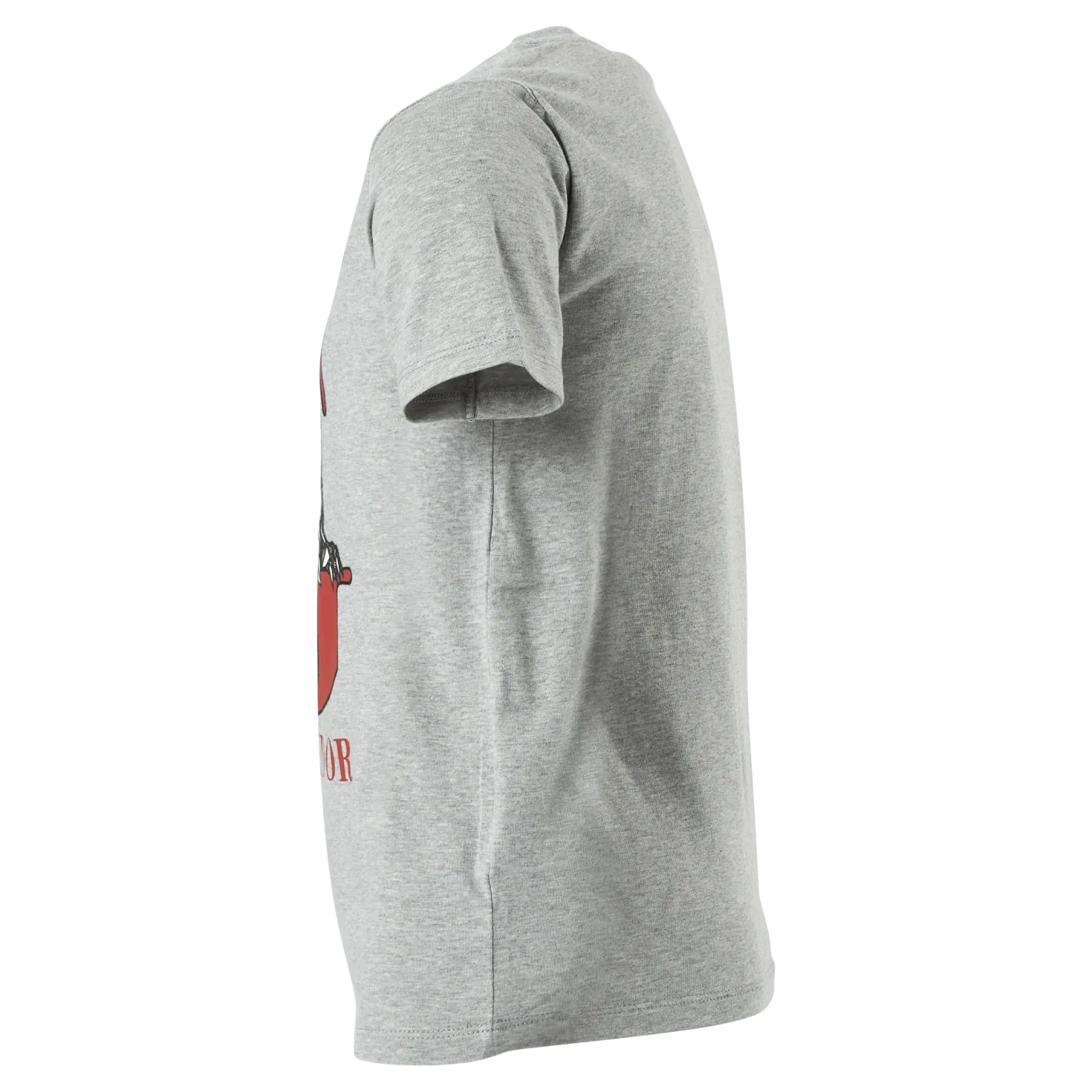 Nkmharrypotter Ron Ss Top Wab Grey Melange