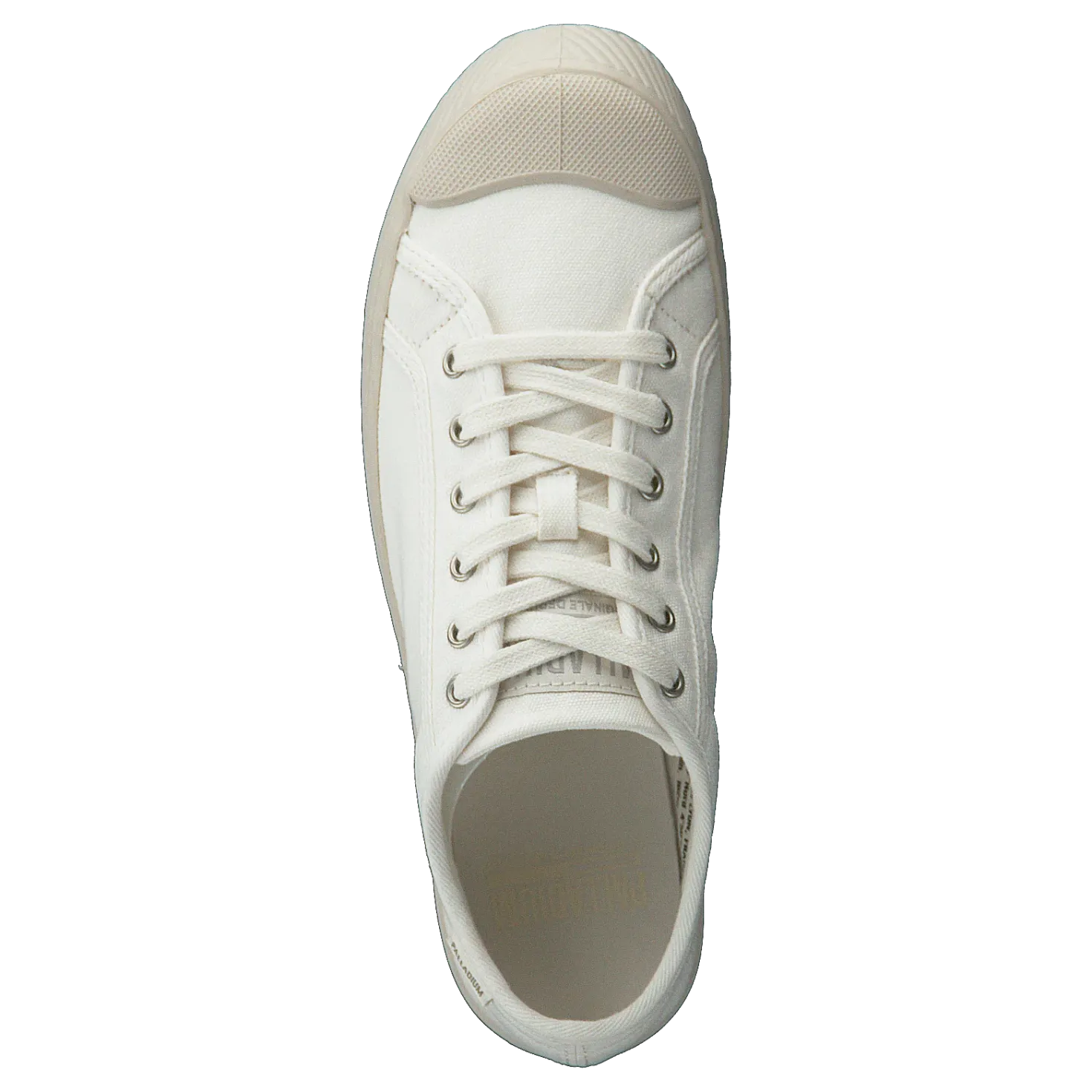 Pallaphoenix Og Cvs Marshmallow