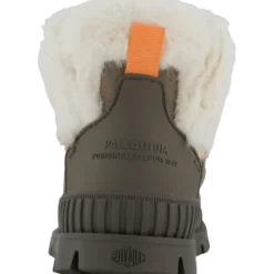 Pallashock Lo Hiver Rocks