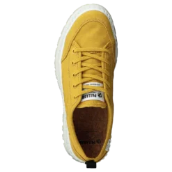 Pallashock Lo Org 2 Spicy Mustard