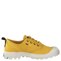 Pampa Ox Htg Supply Spicy Mustard