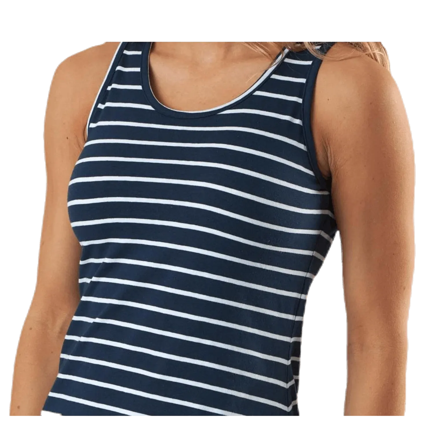 Pasadena Dress Blue/White