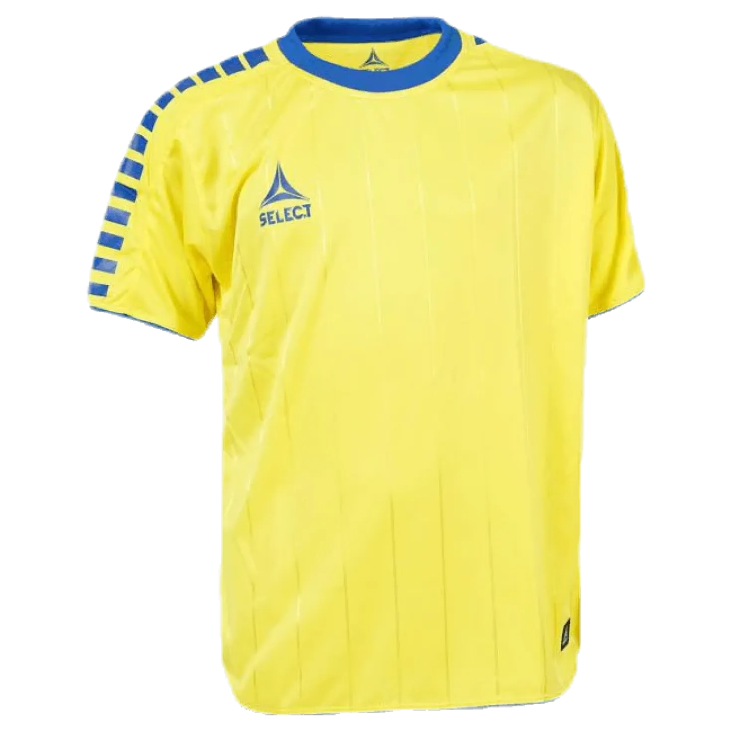 Player Shirt S/S Argentina Blue/Yellow