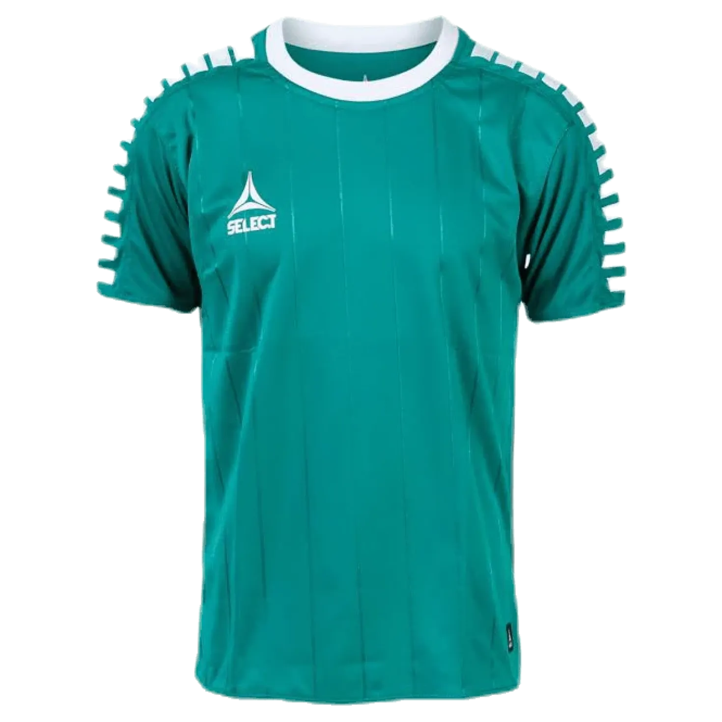 Player Shirt S/S Argentina Green
