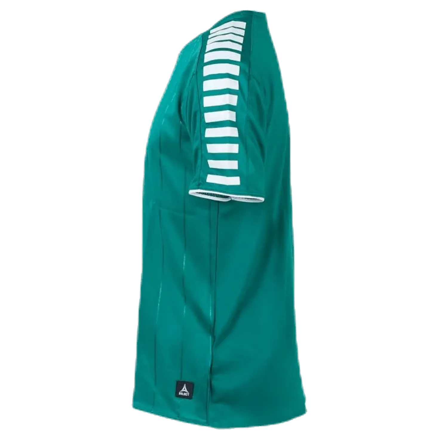 Player Shirt S/S Argentina Green