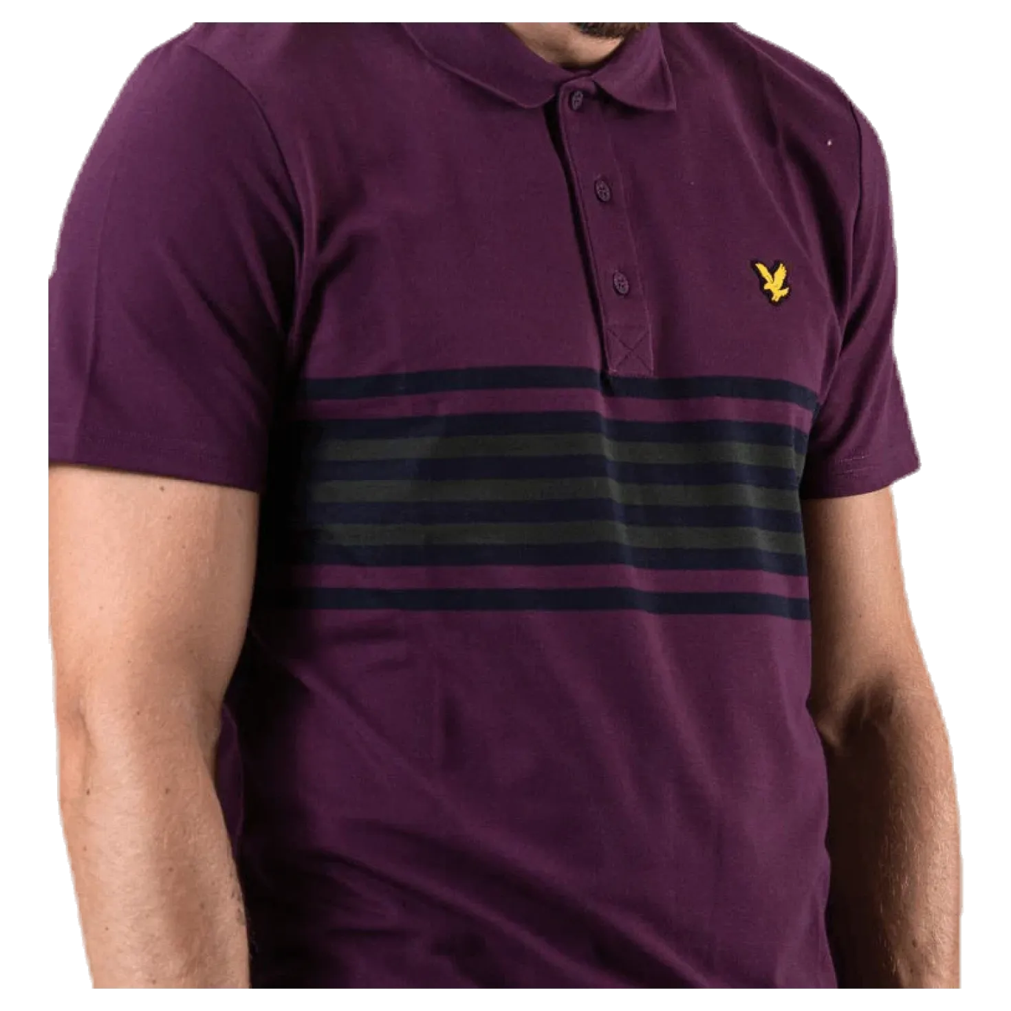 Plus Stripe Polo Blue