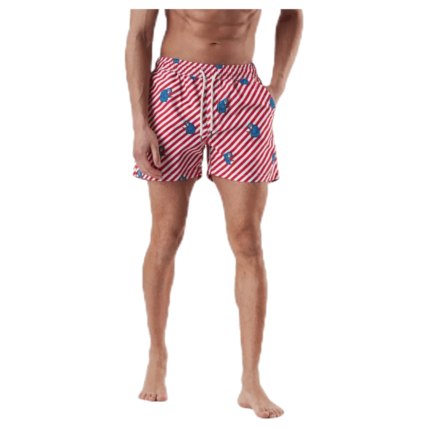 Polka Monkey Red