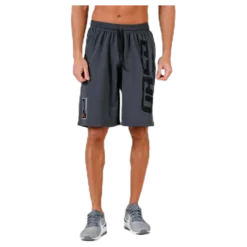 Pro mesh shorts Grey