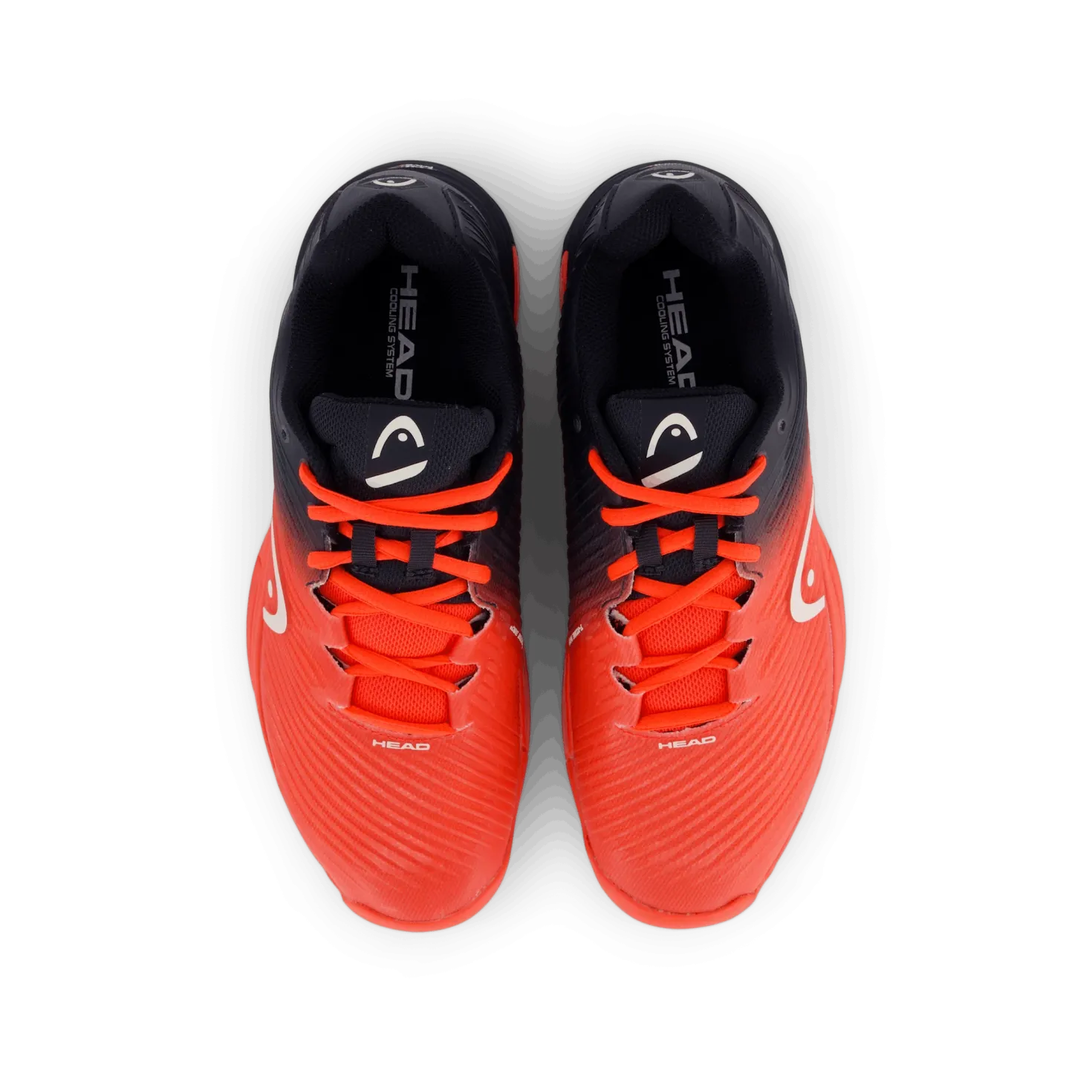 Revolt Pro 4.0 Men Black/blue/coral