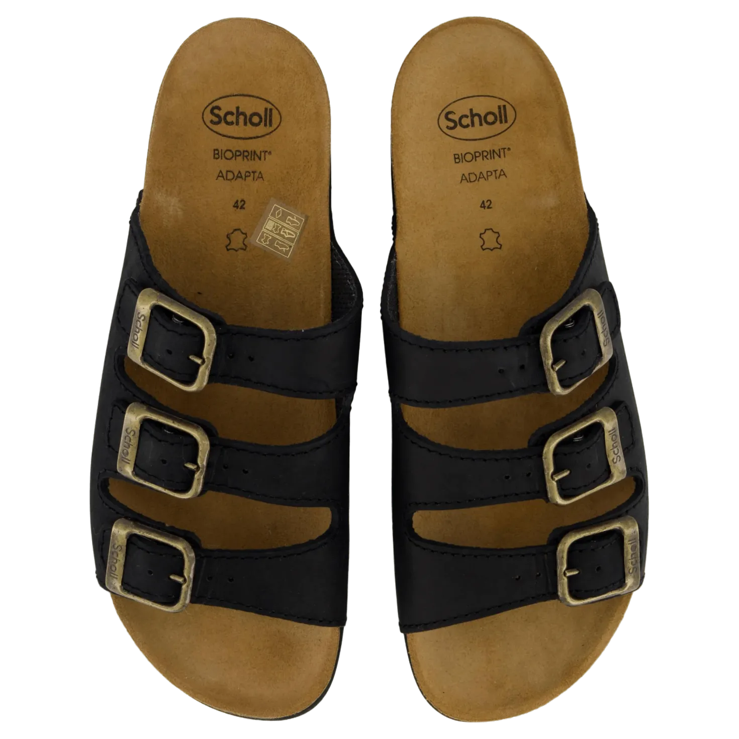 Rio AD Black
