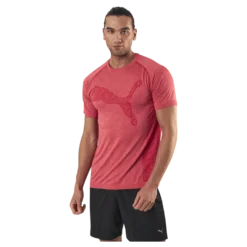 RTG Evoknit Tee Red
