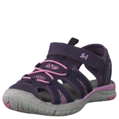 Salo Dk Purple