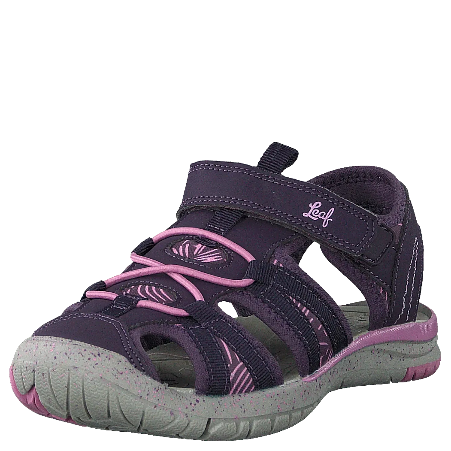 Salo Dk Purple