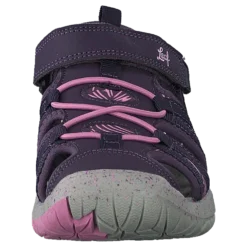 Salo Dk Purple