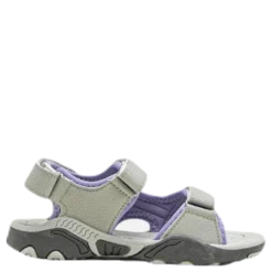 Sandalshine Purple/Grey