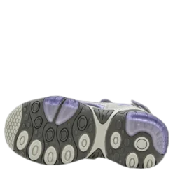 Sandalshine Purple/Grey