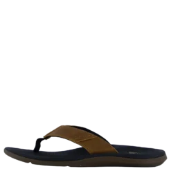 Santa Ana Le Black And Tan