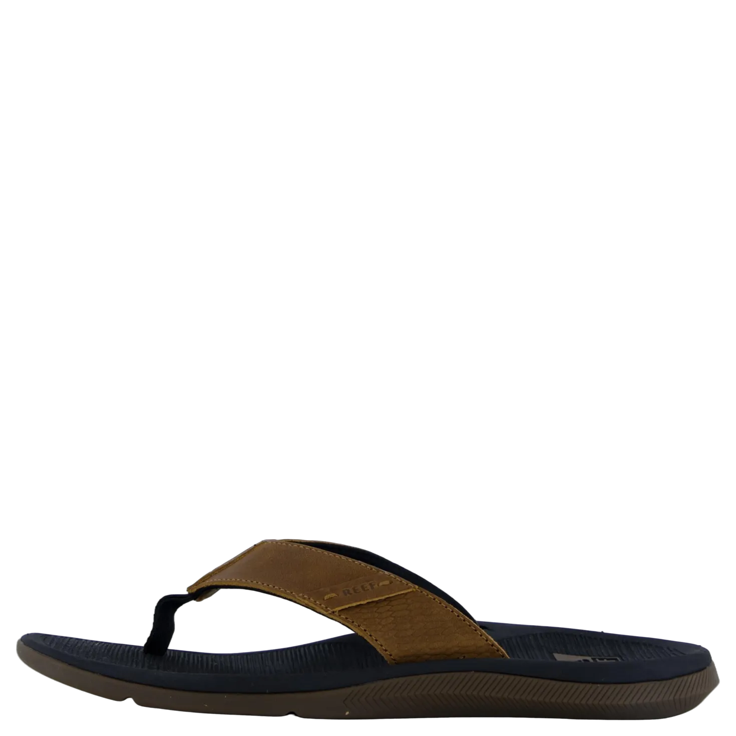 Santa Ana Le Black And Tan