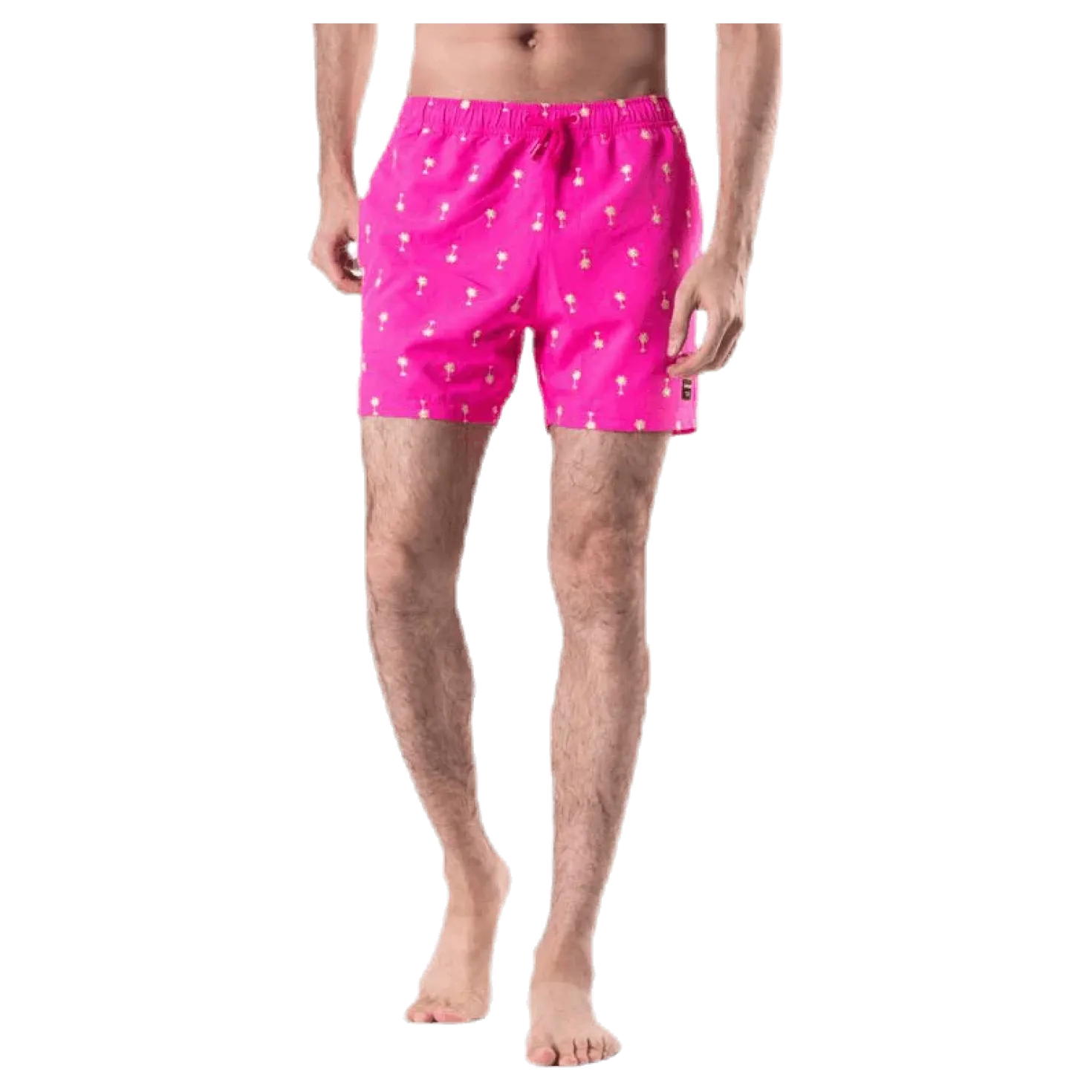 Santiago Swim Shorts Pink