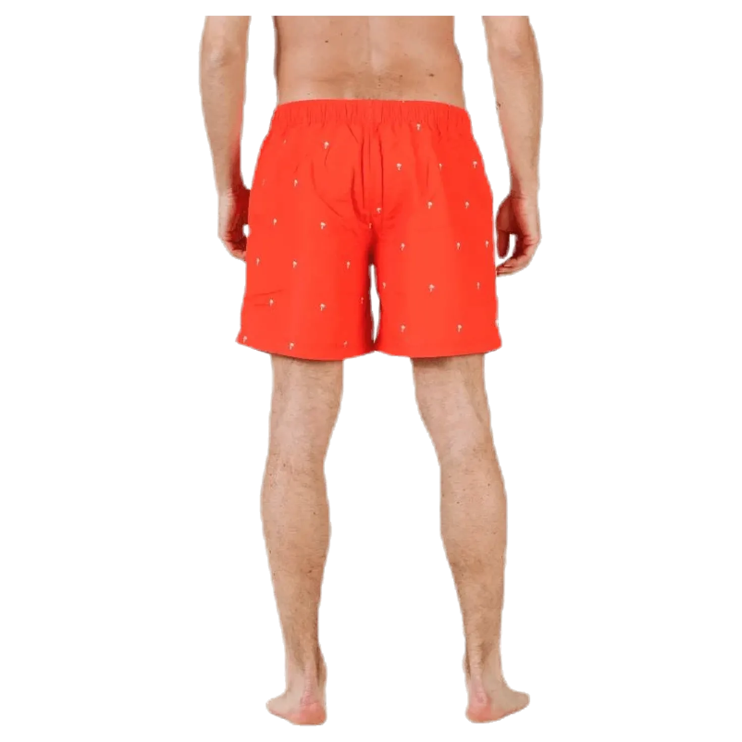 Scale Shorts Red