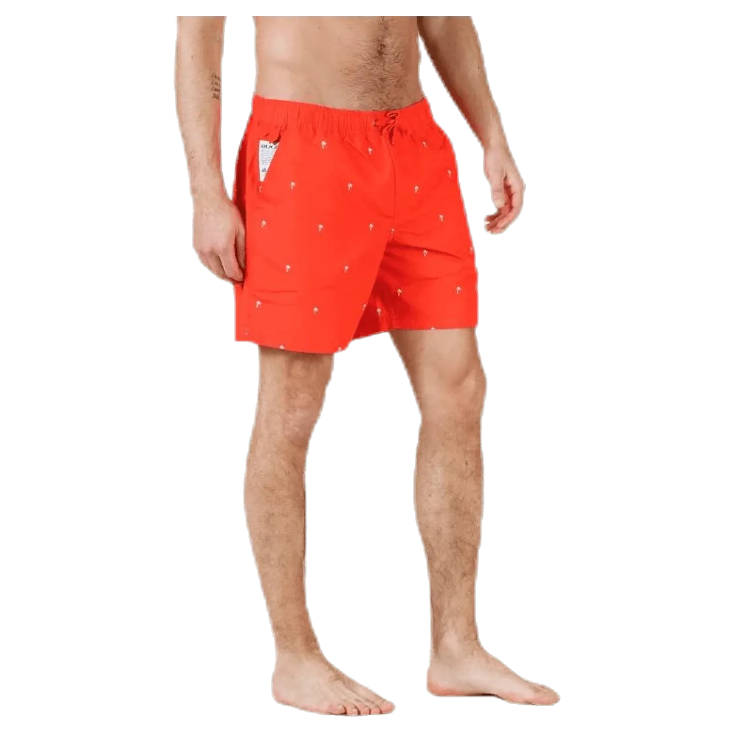 Scale Shorts Red