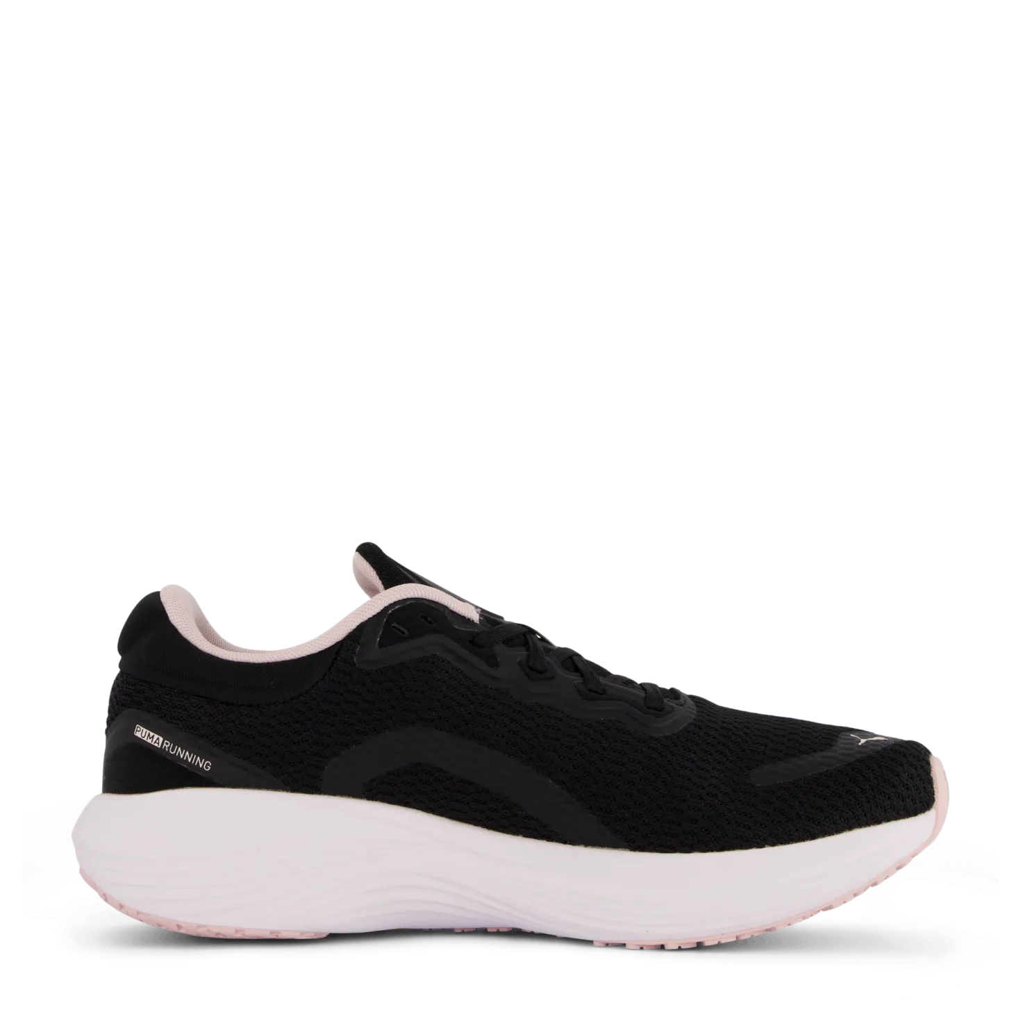 Scend Pro Puma Black-frosty Pink-speed G
