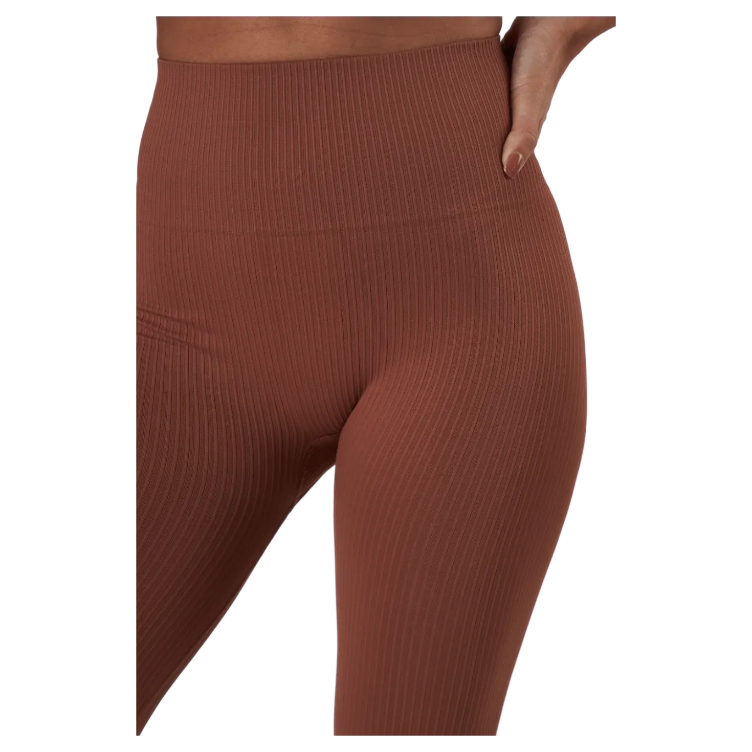 Seamless Rib Tights Copper Brown