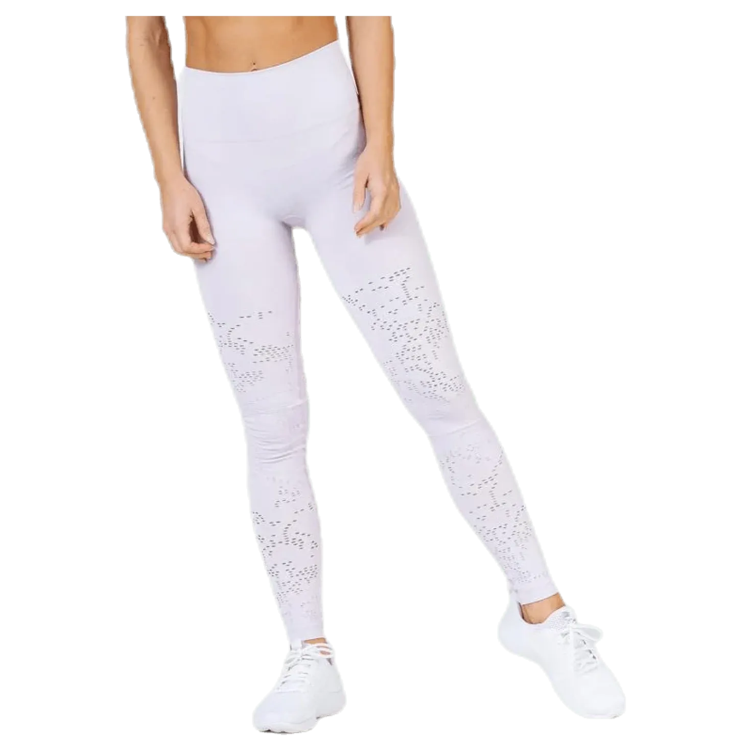 Seamless Skin Tights Purple
