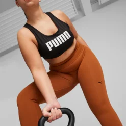 Shapeluxe Seamless Hw Fl Tight Teak
