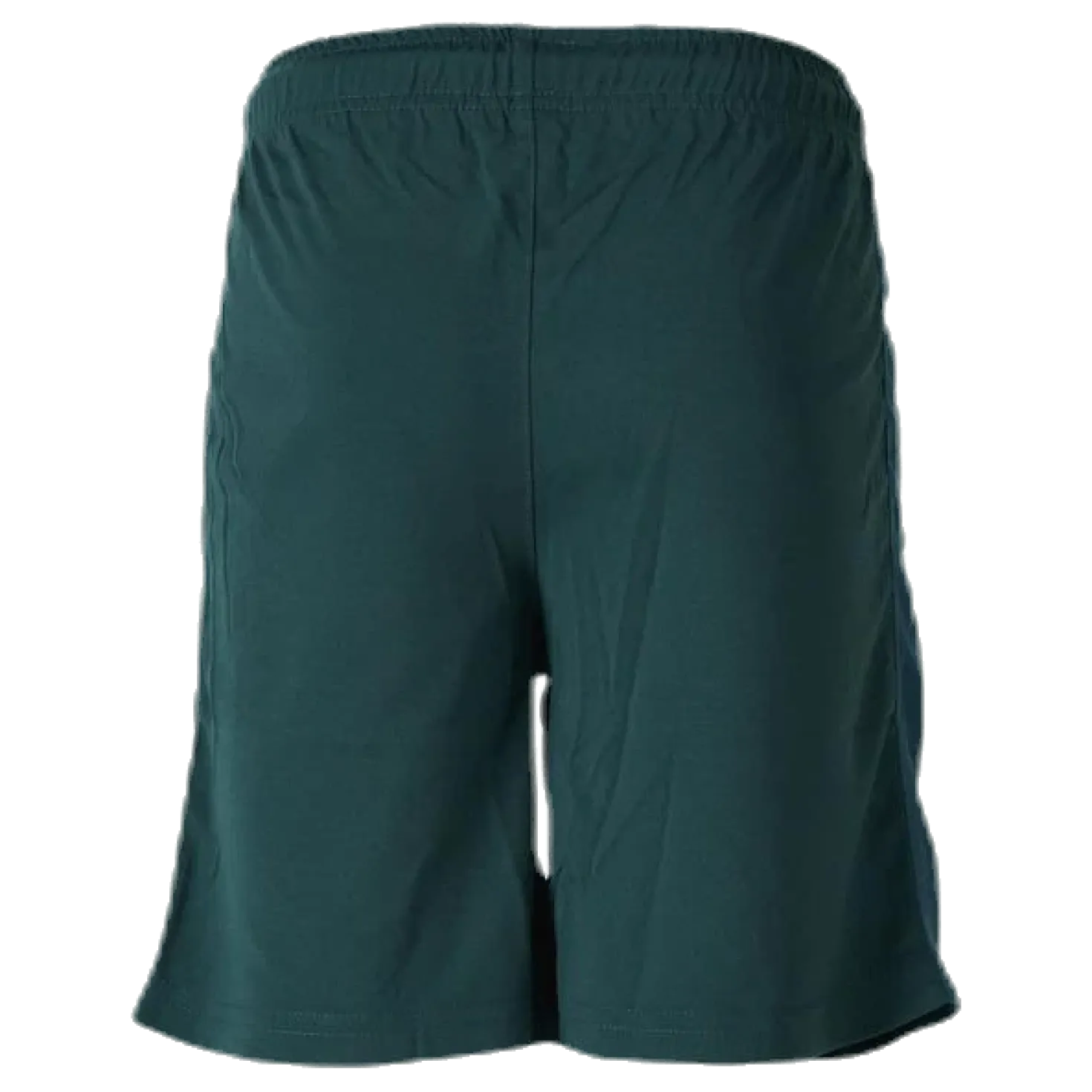 Shorts X-Cool Green