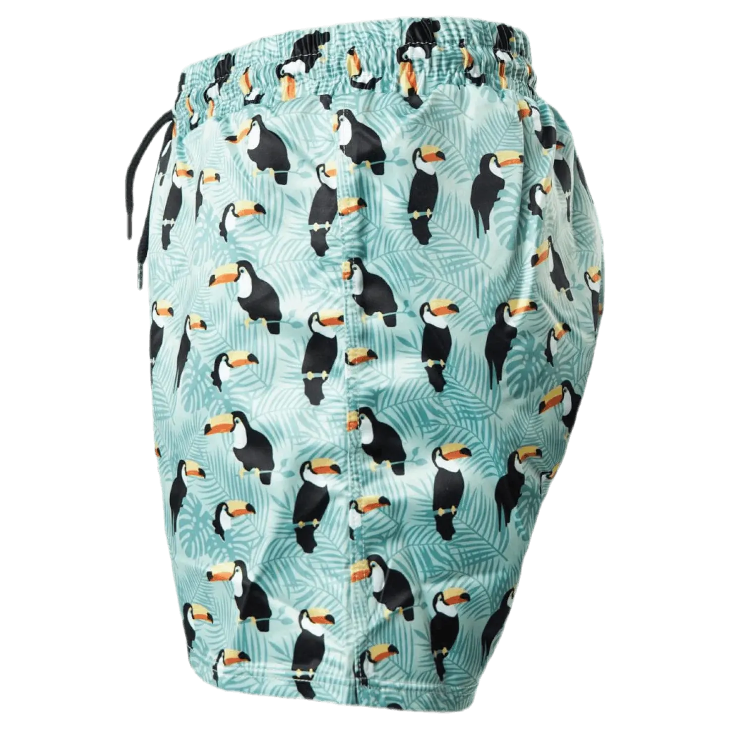 Solig Swim Shorts Green