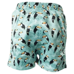 Solig Swim Shorts Green