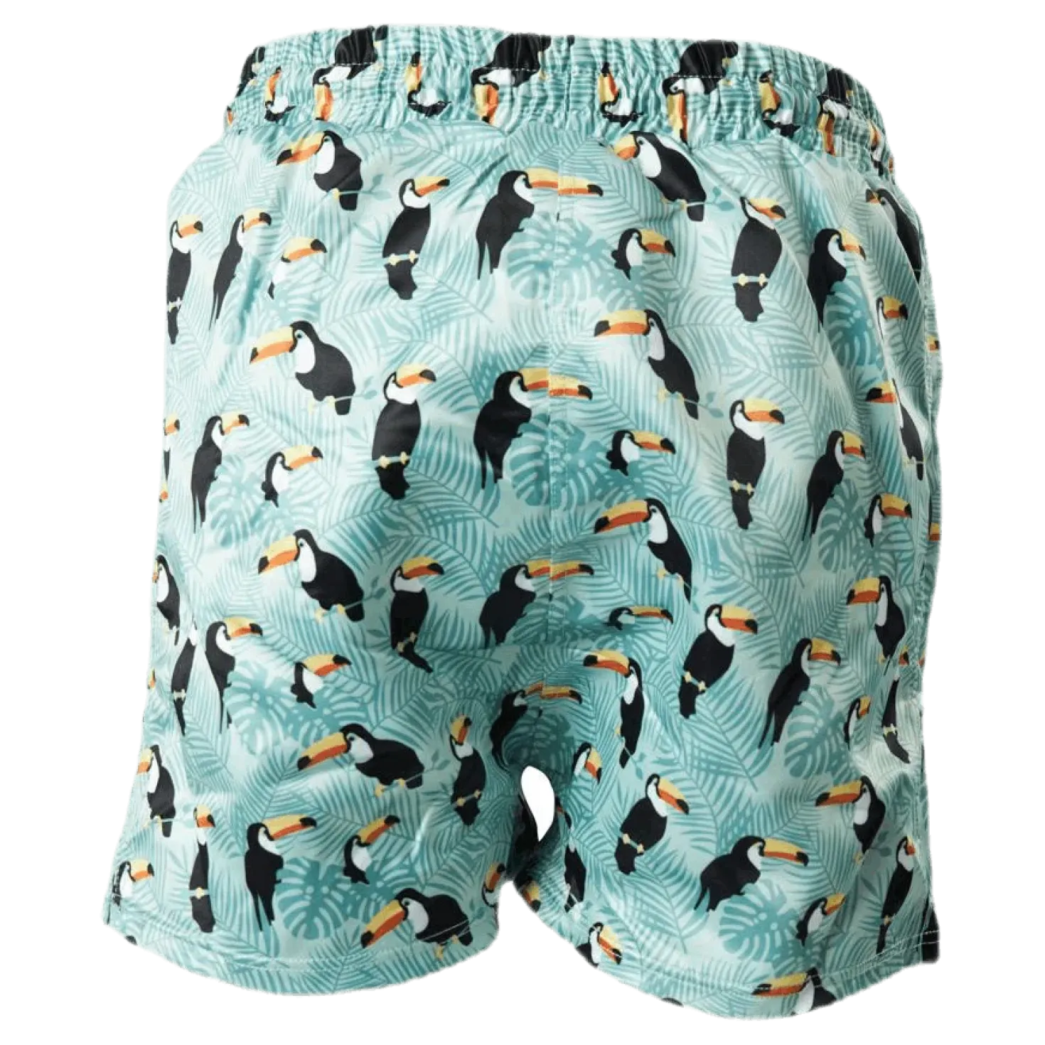 Solig Swim Shorts Green