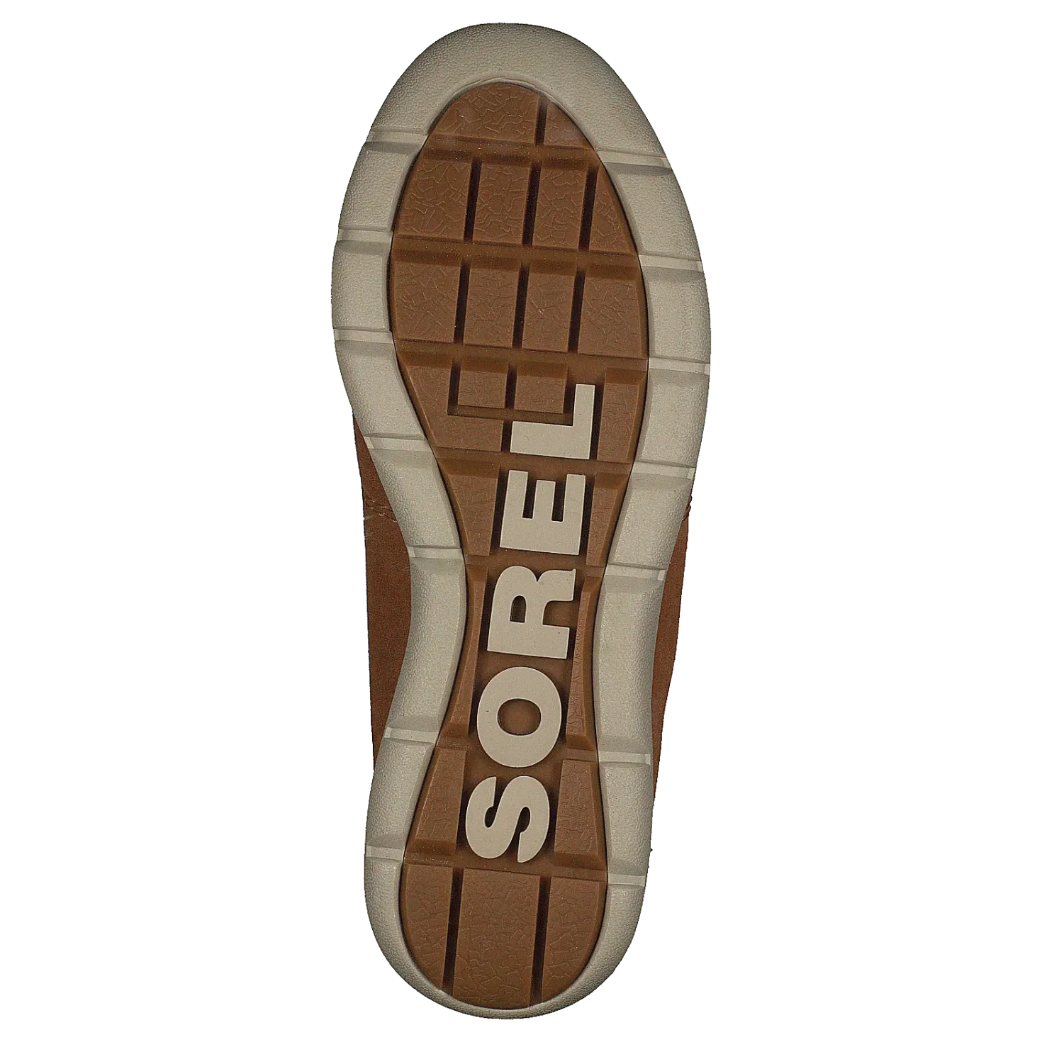 Sorel Explorer Joan 224 Camel Brown, Ancient Fossi