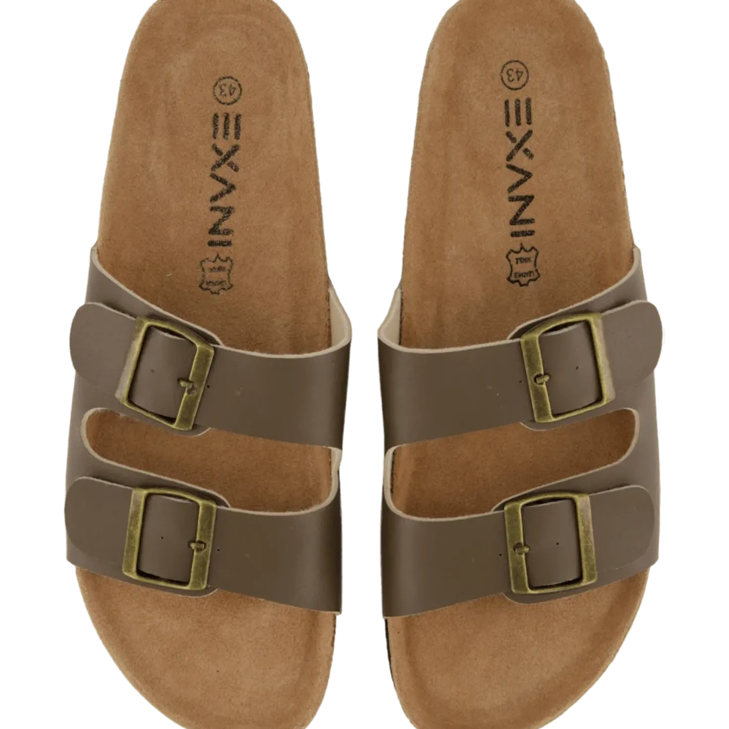 Spectra M Brown