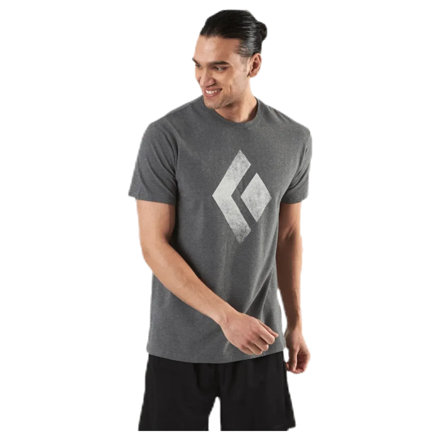 SS Chalked Up Tee Grey
