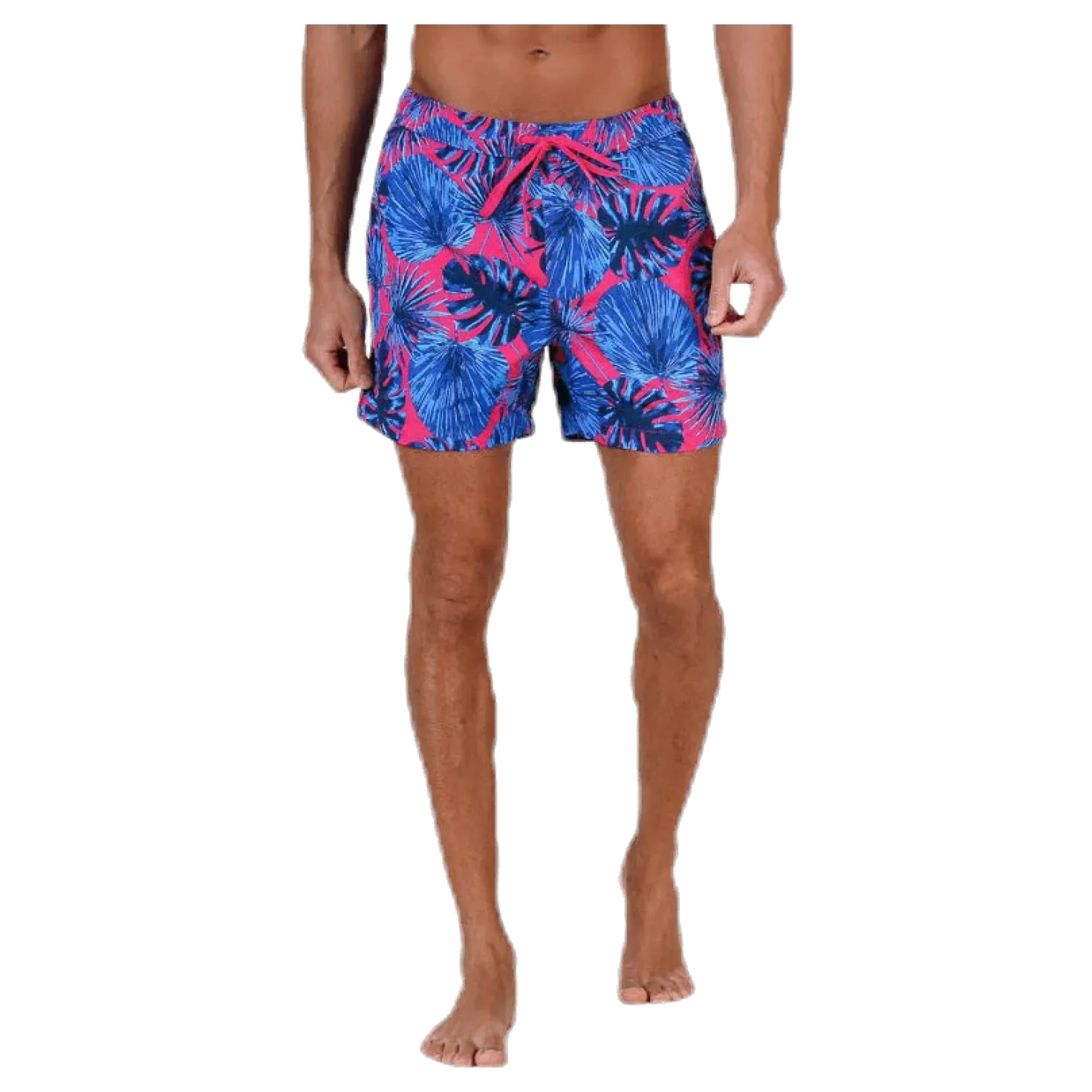Sylvester Shorts Patterned