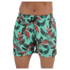 Sylvester Swimshorts Blue/Pink/Green