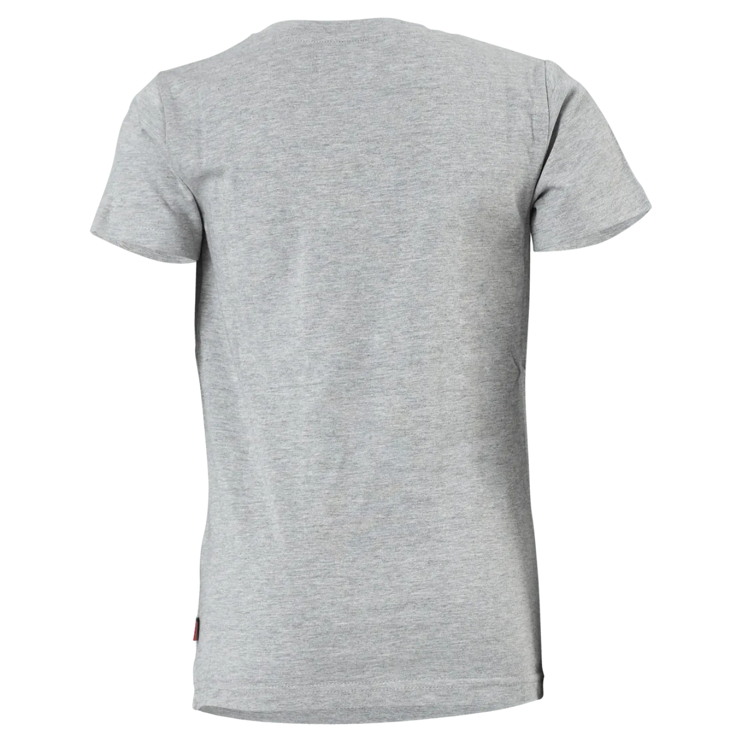 The Defender Alvin Jr Tee Grey Melange